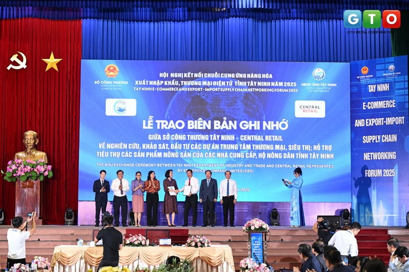 Sự kiện GTO media
